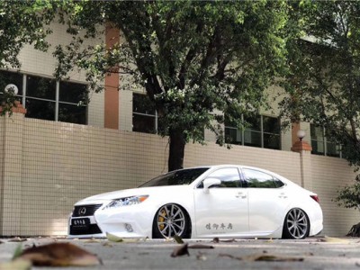 Eclectic Lexus ES Air struts social low wind