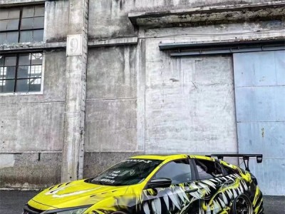 Soaring to New Heights: The Fusion of Toyota Civic and Air Struts